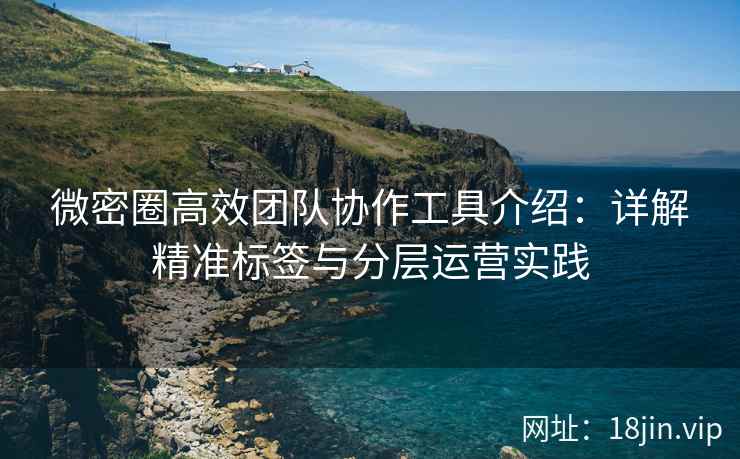 微密圈高效团队协作工具介绍：详解精准标签与分层运营实践