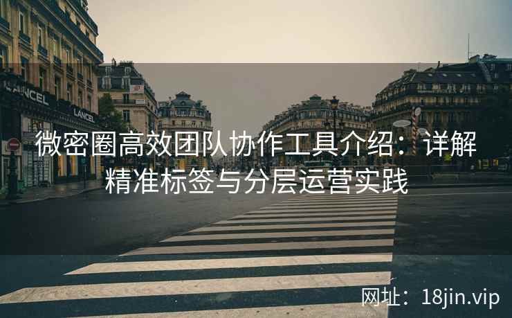 微密圈高效团队协作工具介绍：详解精准标签与分层运营实践