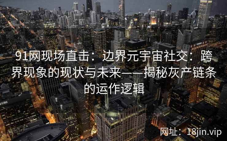 91网现场直击：边界元宇宙社交：跨界现象的现状与未来——揭秘灰产链条的运作逻辑