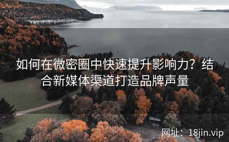 如何在微密圈中快速提升影响力？结合新媒体渠道打造品牌声量