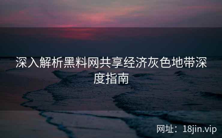 深入解析黑料网共享经济灰色地带深度指南