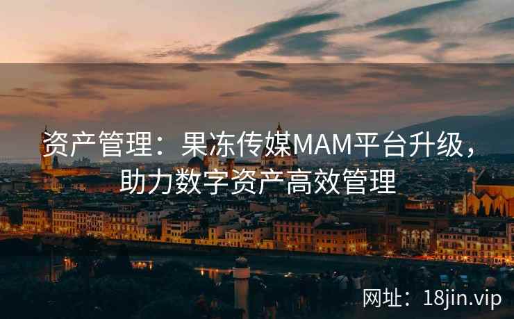 资产管理：果冻传媒MAM平台升级，助力数字资产高效管理