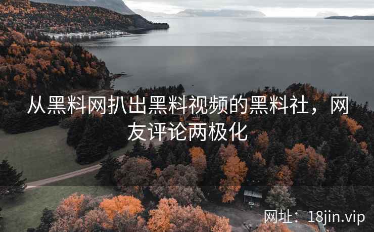 从黑料网扒出黑料视频的黑料社，网友评论两极化