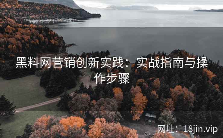 黑料网营销创新实践：实战指南与操作步骤
