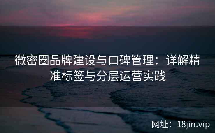 微密圈品牌建设与口碑管理：详解精准标签与分层运营实践