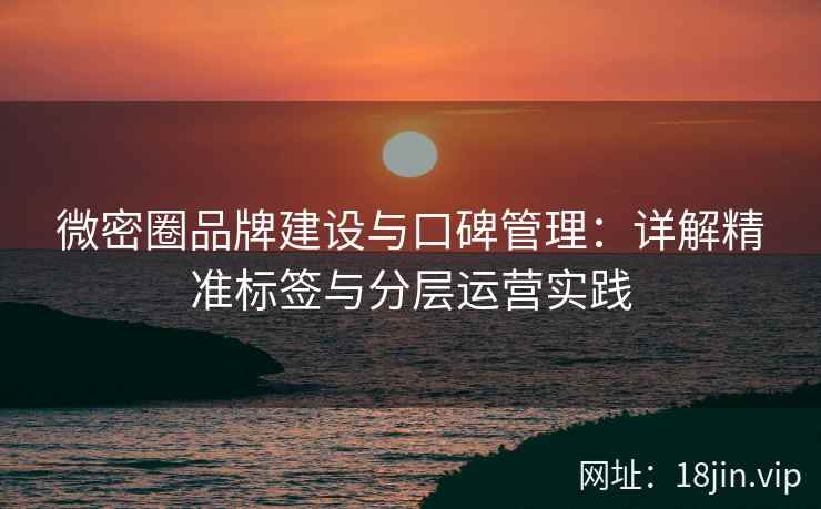 微密圈品牌建设与口碑管理：详解精准标签与分层运营实践
