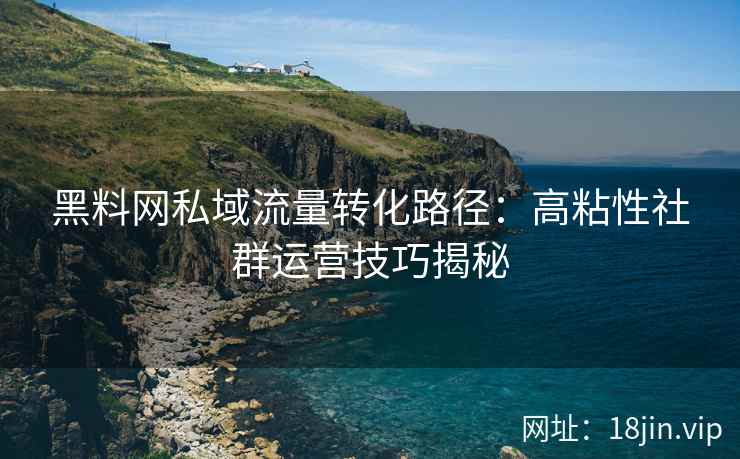 黑料网私域流量转化路径：高粘性社群运营技巧揭秘