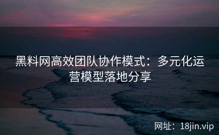 黑料网高效团队协作模式：多元化运营模型落地分享