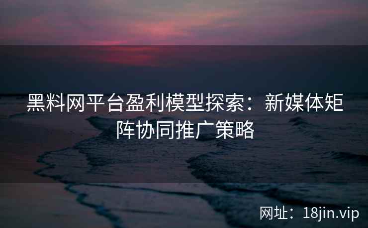 黑料网平台盈利模型探索：新媒体矩阵协同推广策略